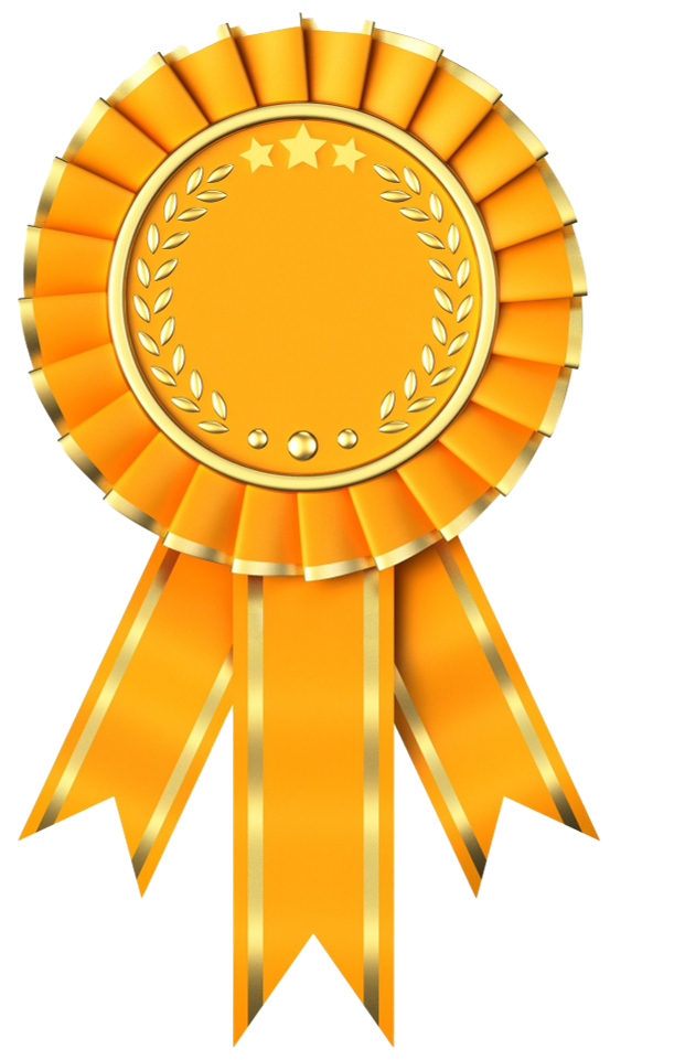 Merit Award