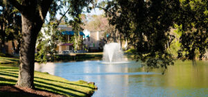 A serene park scene featuring a lake with a fountain, a large tree, and distant buildings under a clear sky.