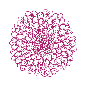 Volunteer Dahlia flower - Volunteer and Stay Active article by River Garden