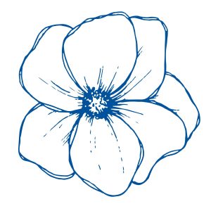 Blue line art illustration of a flower with multiple petals and a detailed center on a white background.