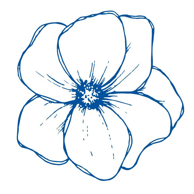 Blue line art illustration of a flower with multiple petals and a detailed center on a white background.