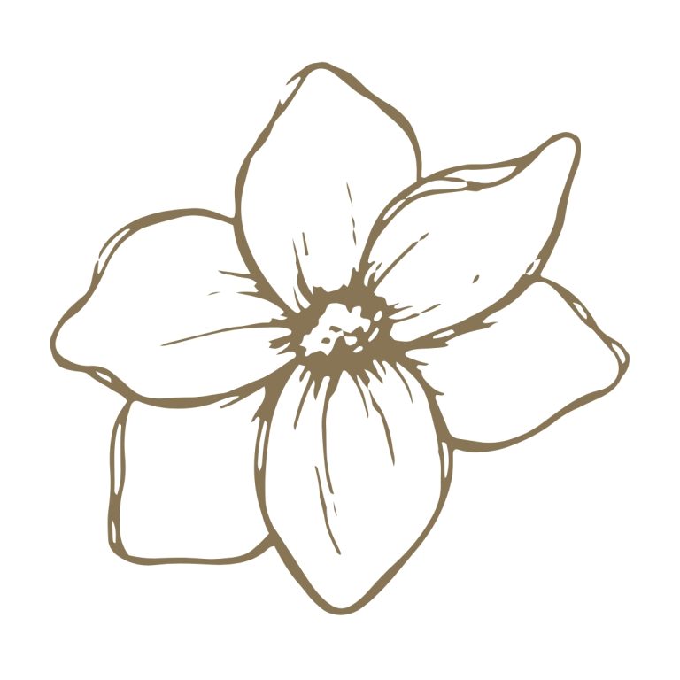 Outline drawing of a five-petal flower with a prominent center, in a brown color on a white background.