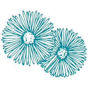 Two hand-drawn teal flowers with thin petals on a white background, overlapping slightly.