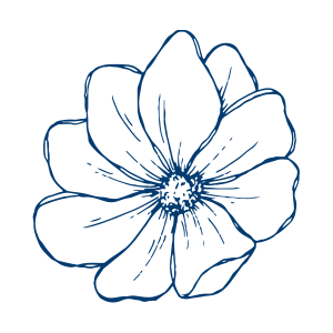 River Garden flower - Clarifying the care options for seniors article