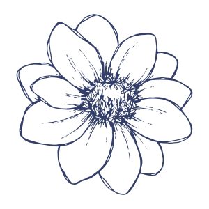 Outline drawing of a multi-petaled flower with a detailed center in navy blue on white.