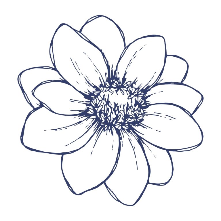 Outline drawing of a multi-petaled flower with a detailed center in navy blue on white.