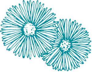 The Coves Flower