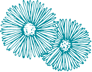 The Coves Flower
