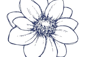 Outline drawing of a multi-petaled flower with a detailed center in navy blue on white.