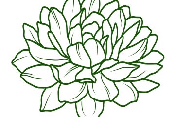 Dark green outline drawing of a succulent plant with many overlapping leaves on a white background.