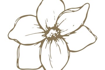 Outline drawing of a five-petal flower with a prominent center, in a brown color on a white background.