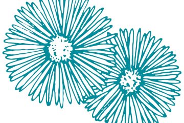 Two hand-drawn teal flowers with thin petals on a white background, overlapping slightly.