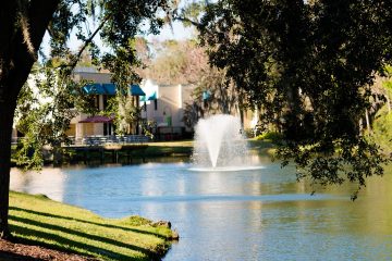 A serene park scene featuring a lake with a fountain, a large tree, and distant buildings under a clear sky.